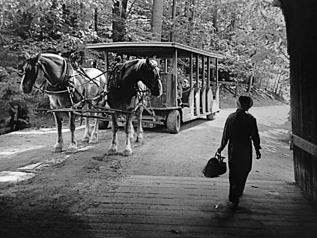 Photo by Robert Forlini