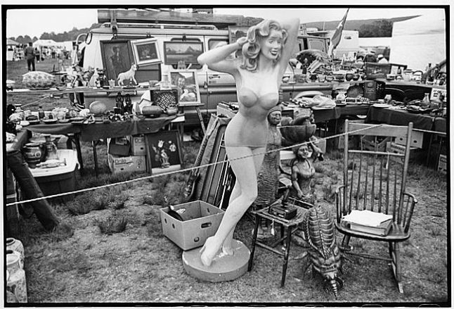 Photo by Robert Forlini